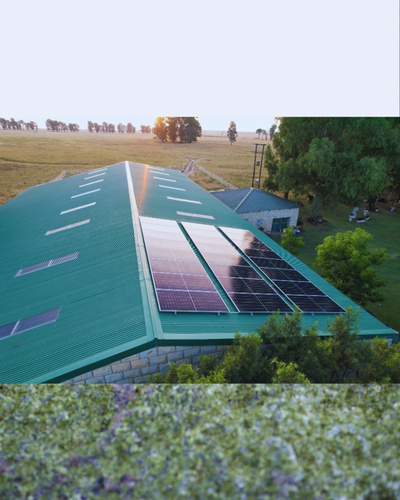 CCSO Solar Panel Installer Lindley